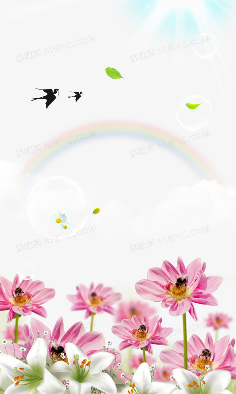 夏日彩虹花朵背景图