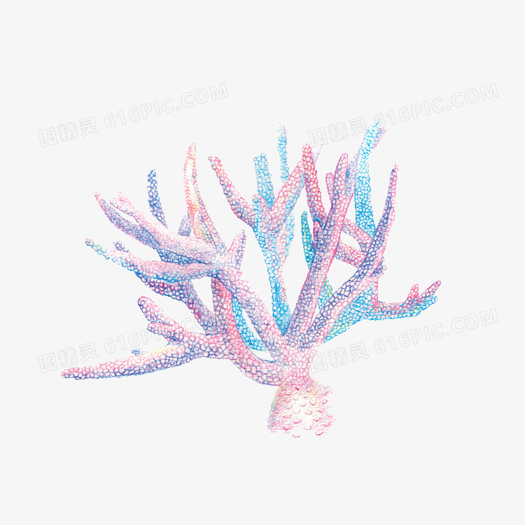 彩色珊瑚