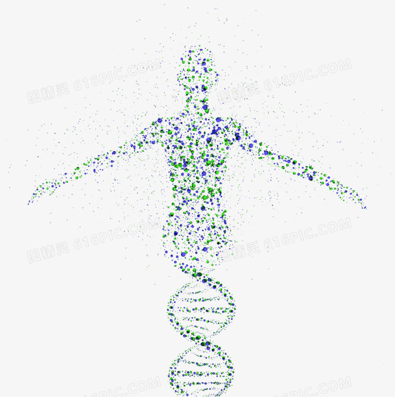 分子组成的人物