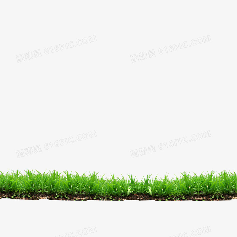 草