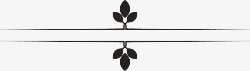 欧式花纹分割线