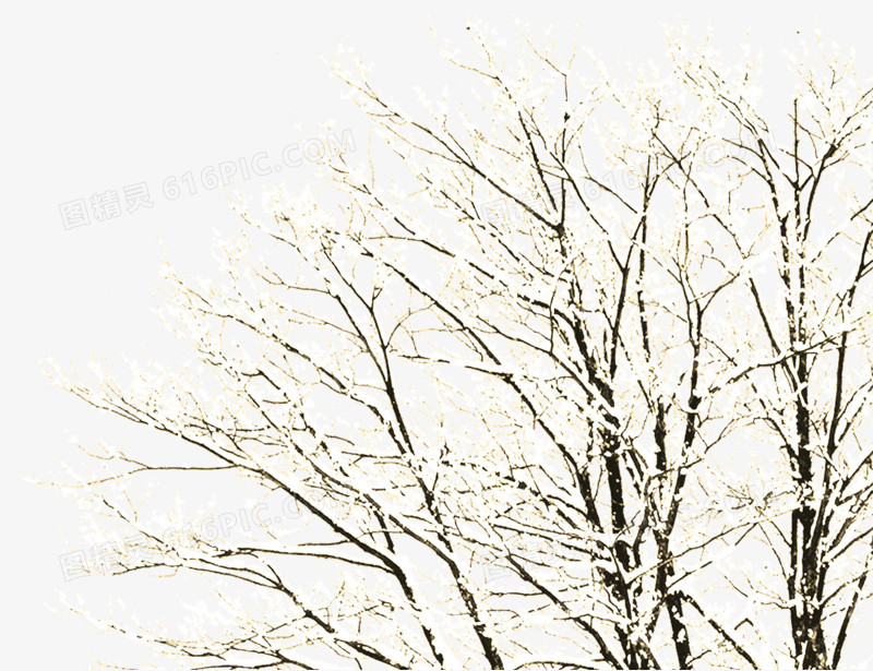 唯美白色冬日大树