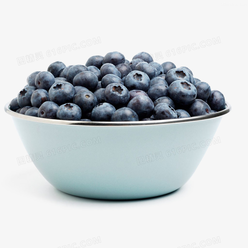 一盆蓝莓