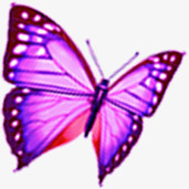 紫色高清创意飞舞的人蝴蝶