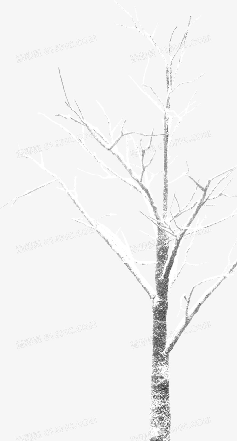 卡通雪景树枝
