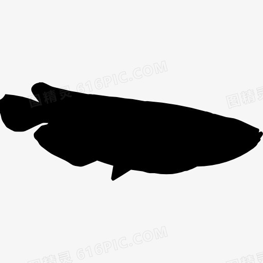 鱼龙鱼的形状图标