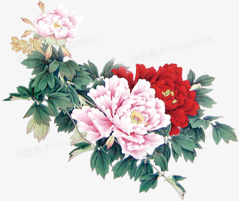 花朵植物手绘新春