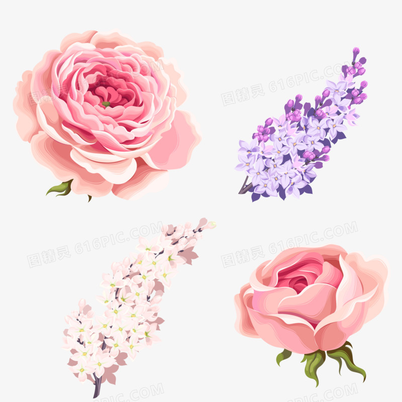 玫瑰 粉玫瑰 紫花