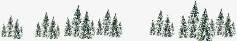 绿色积雪松树