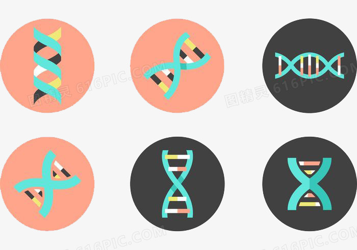 DNA双螺旋矢量图标