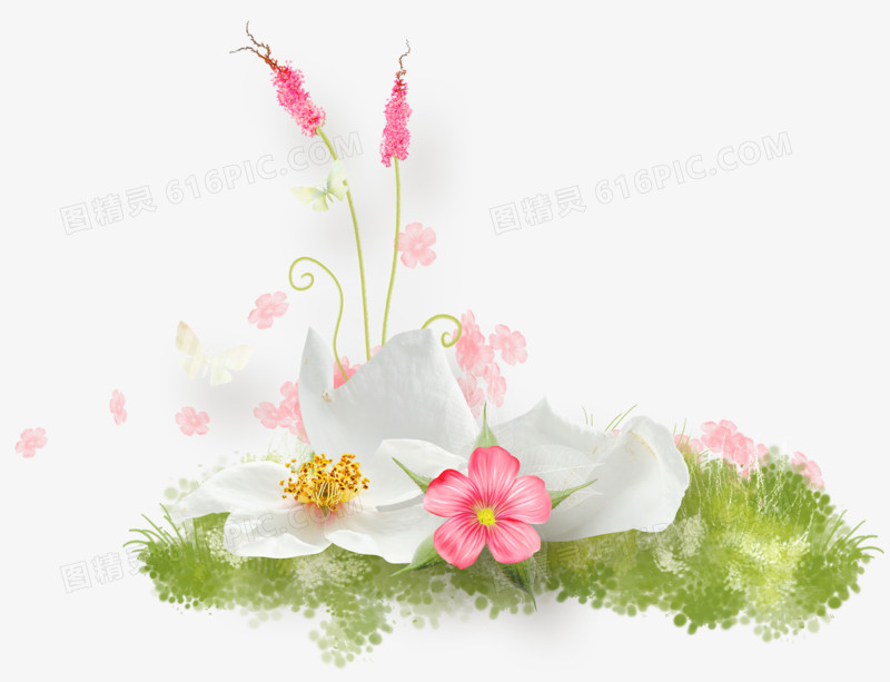 鲜花花卉装饰