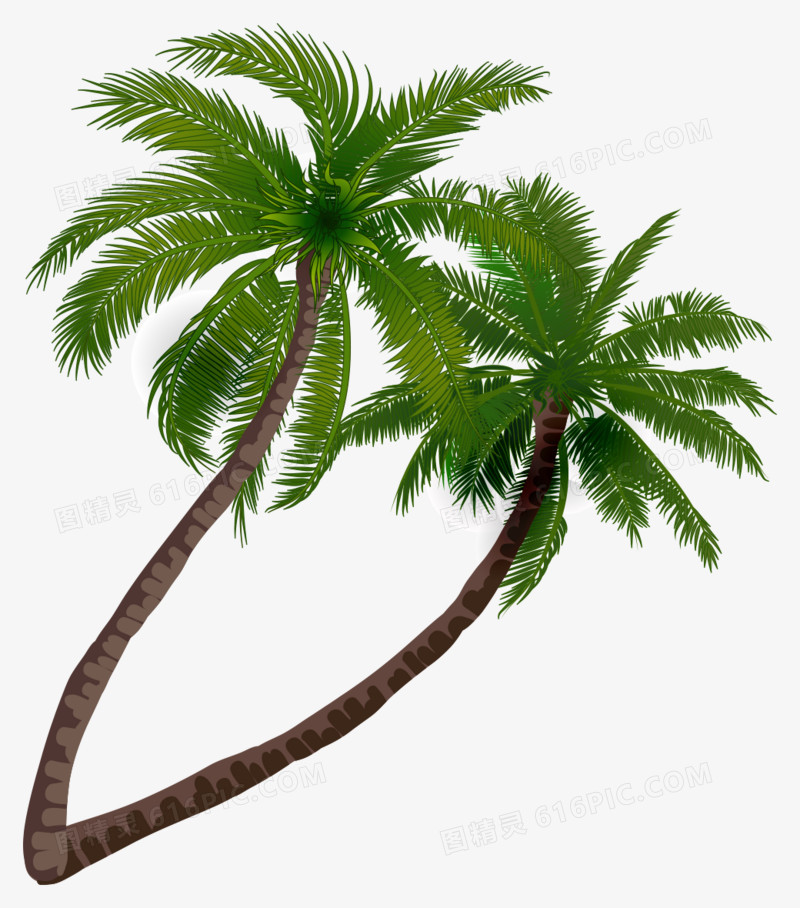 度假开心椰子树背景矢量