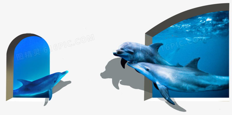 3D墙画蓝色海豚