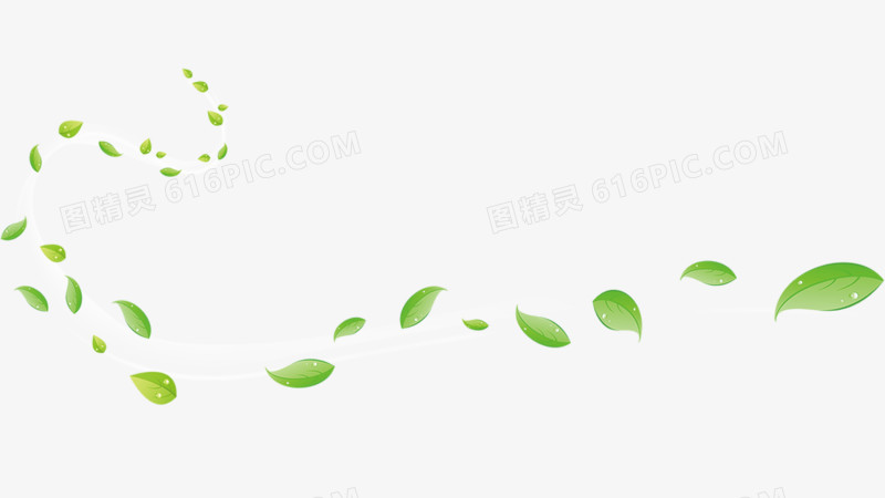环形漂浮叶子树叶素材