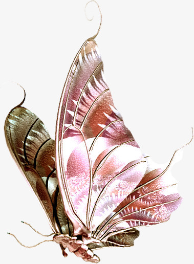 高清创意摄影在空中飞舞的蝴蝶
