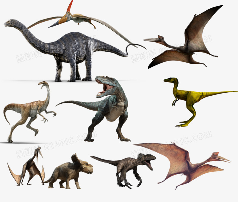 各式恐龙素材