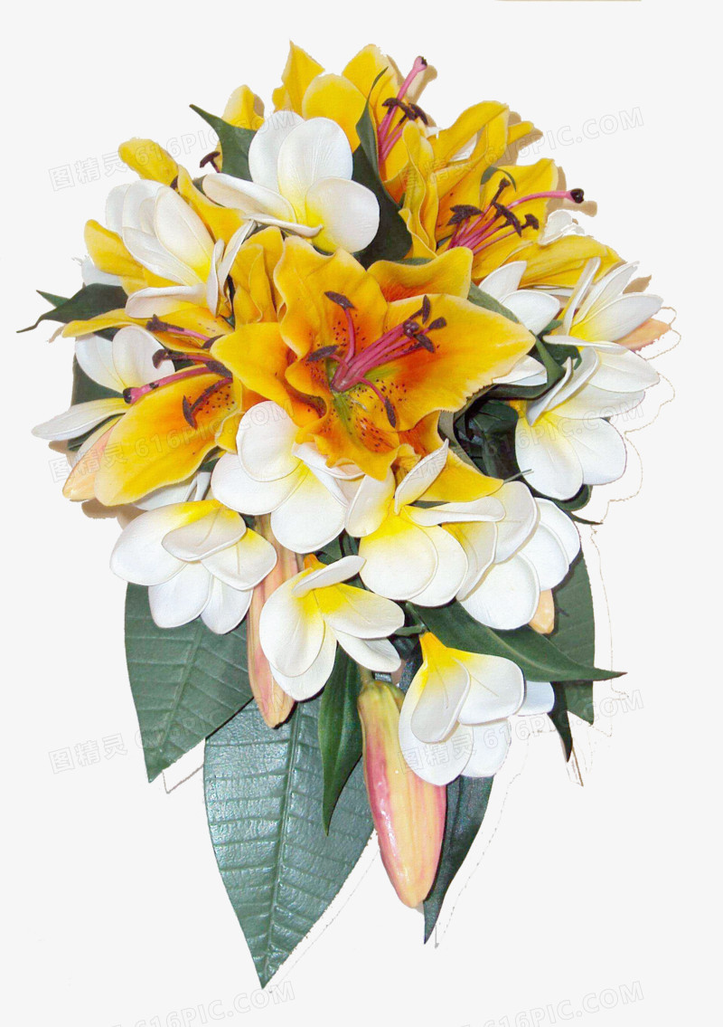 鲜花背景素材手绘花朵图片素材 唯美白色花束
