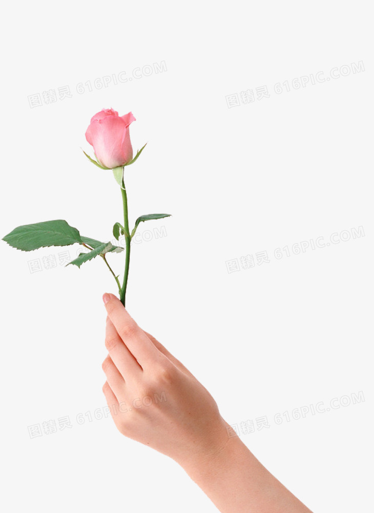 手 鲜花