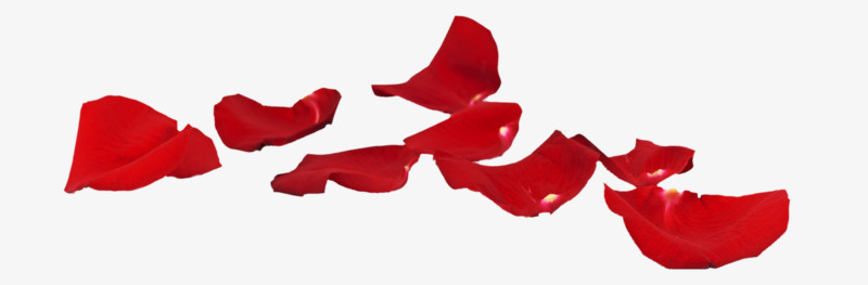 免抠透明漂浮的红色花瓣