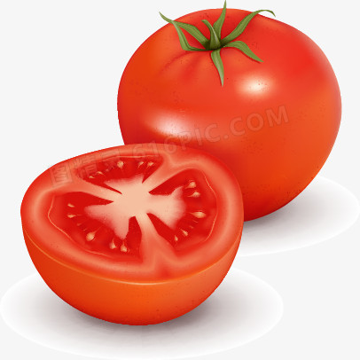 高清仿真农产品蔬菜矢量素材--西红柿
