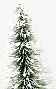 冬日白雪大树圣诞