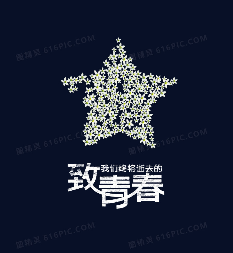 致青春