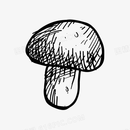 蘑菇手绘线稿