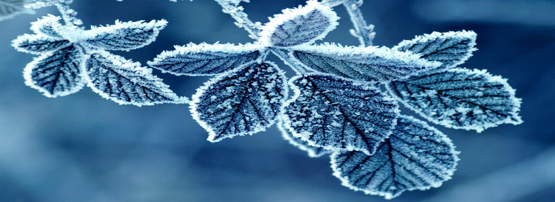 创意冬季雪景背景