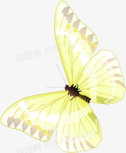 创意合成手绘飞舞的黄色蝴蝶造型