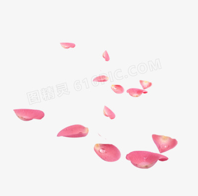 漂浮粉色玫瑰花瓣素材