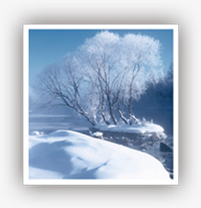 冬日白雪美景景观