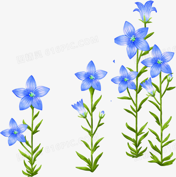 创意合成彩绘蓝色的花朵