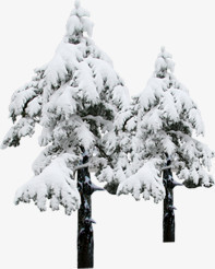 白色圣诞冬日大树
