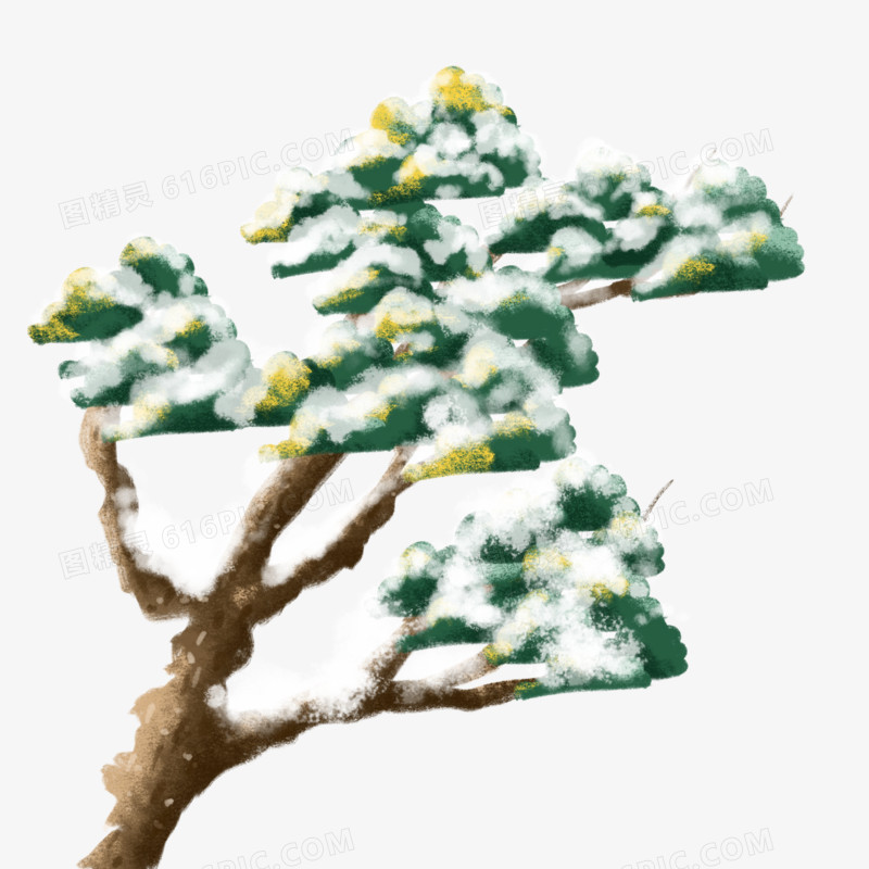 手绘冬天植物松树元素