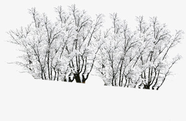雪景冬日美景公园