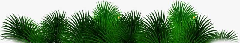 高清创意合成绿色的棕榈树树叶