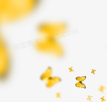 黄色卡通唯美蝴蝶飞舞