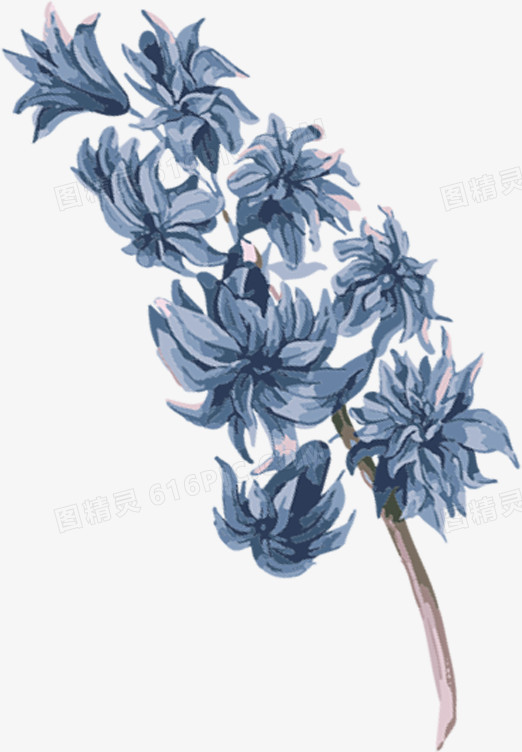 创意合成水彩蓝色的菊花