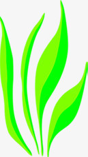 合成扁平绿色的海藻植物