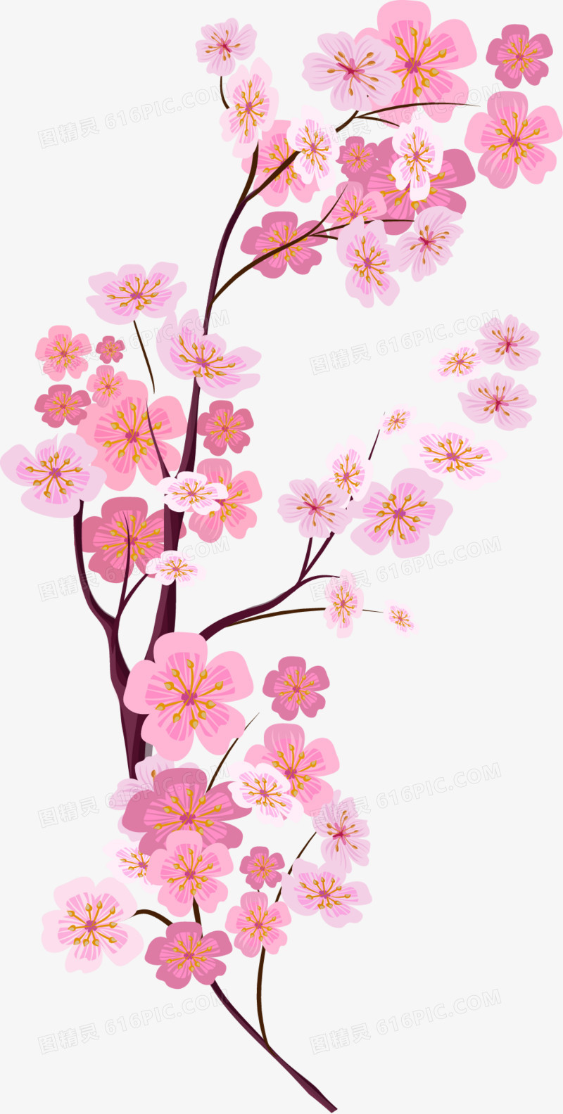 矢量手绘粉色樱花