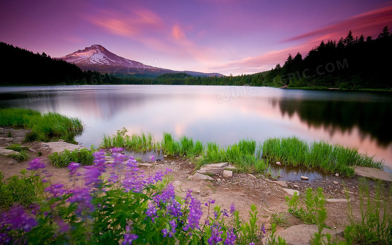 紫色天空湖泊草地