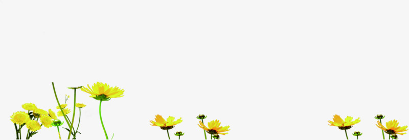 合成效果黄色的花卉植物