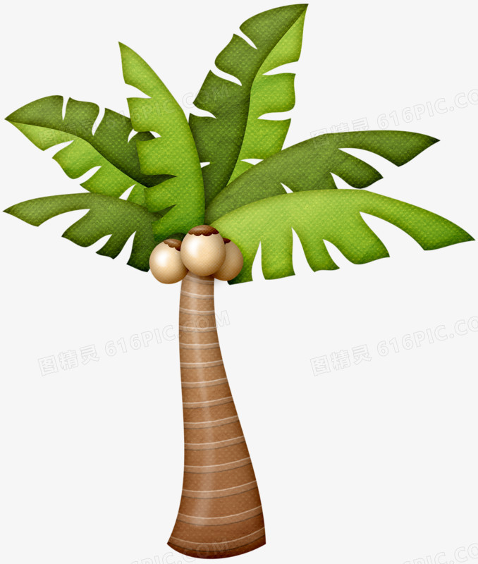 椰树卡通绿叶植物
