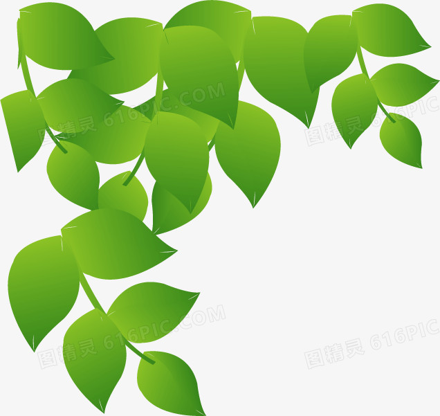 绿色树叶美景卡通设计