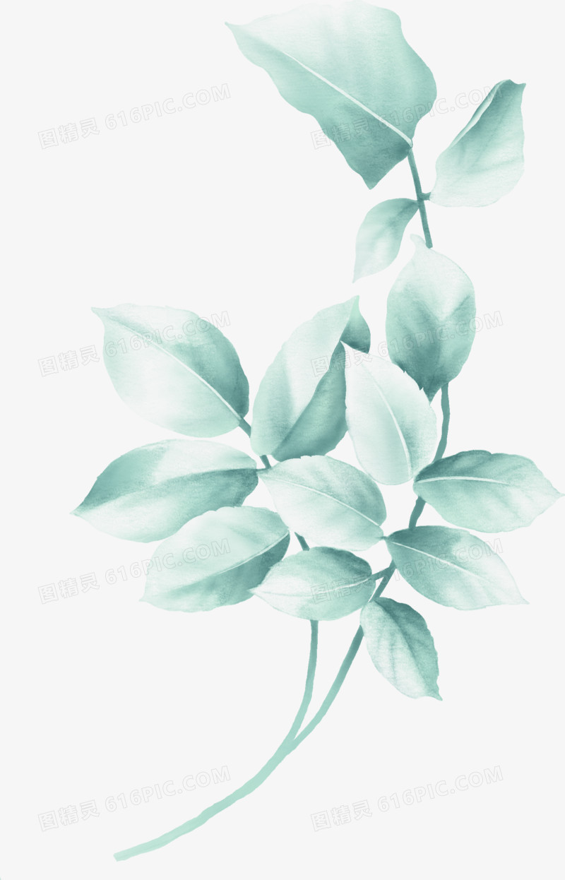 创意合成浅绿色的花卉植物