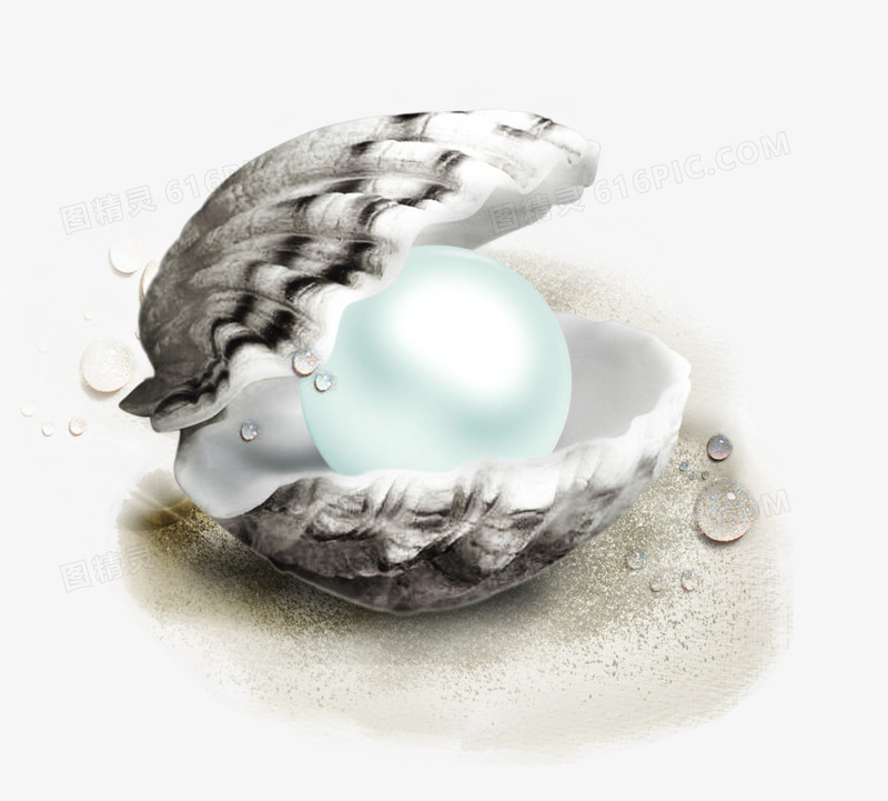 高清摄影手绘合成效果珍珠贝壳