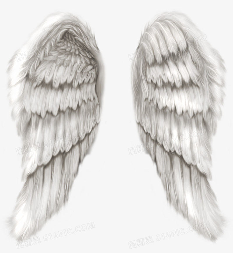 创意手绘合成白色的翅膀造型