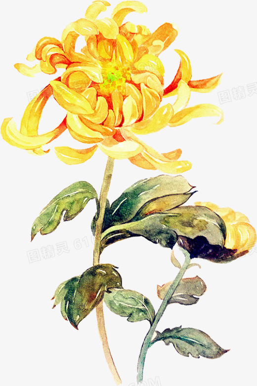 创意手绘合成黄色的菊花