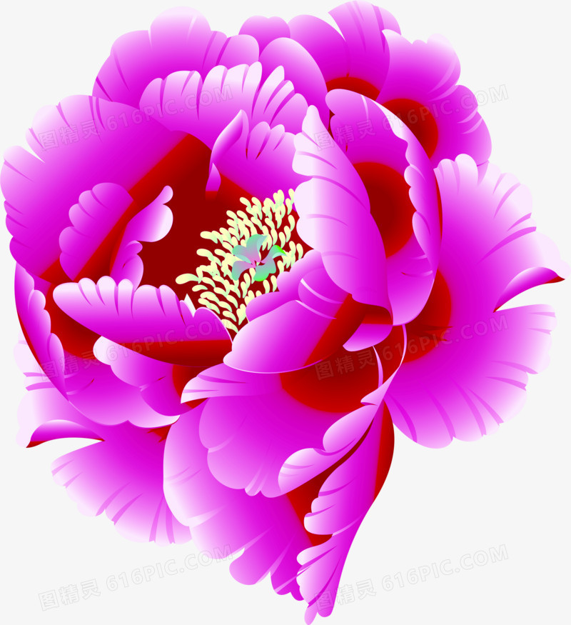 合成创意效果紫色的海棠花