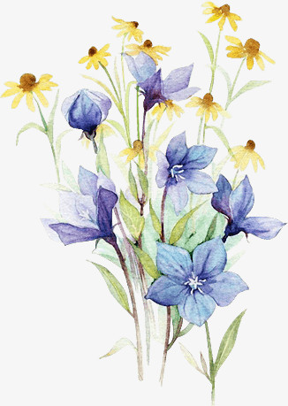 蓝色花朵植物花朵手绘花朵